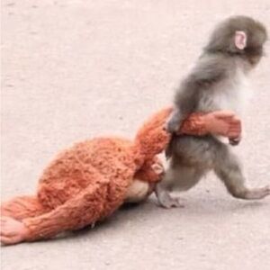 Orangutan monkey stuffed animal toy